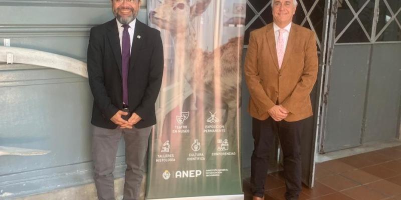 nota de prensa