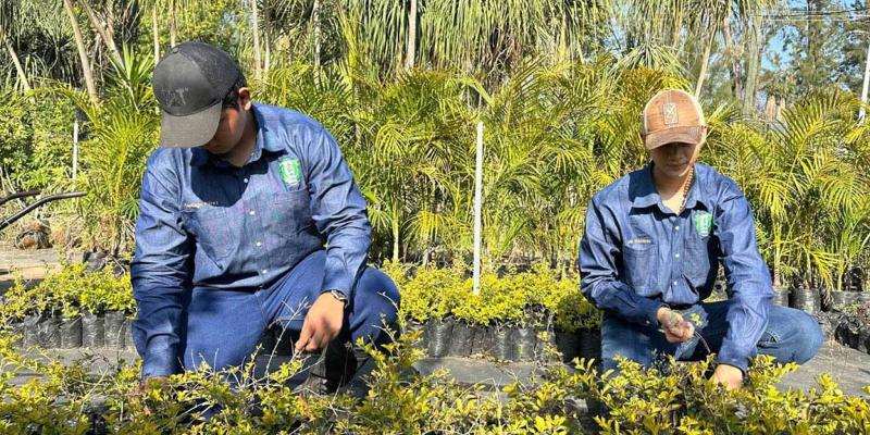 Impulsan competencias agrícolas en futuros peritos con el lema "Aprender Haciendo"