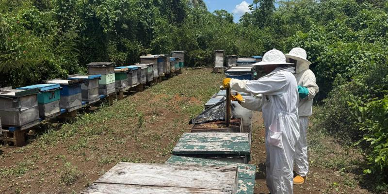 Acuerdo establece nuevo modelo de control sanitario para alimentos no procesados