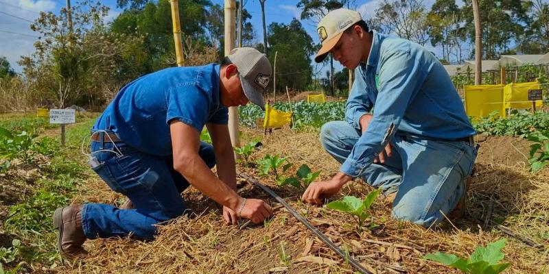 Alumnos de la ENCA impulsan la producción de hortalizas sostenibles
