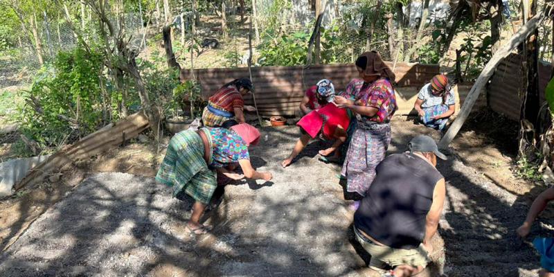 Establecen huerto comunitario en Salamá e inician producción de hortalizas