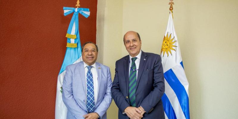 nota de prensa