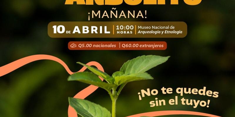 Te esperamos en el Museo Nacional de Arqueología y Etnología para que adoptes un un arbolito