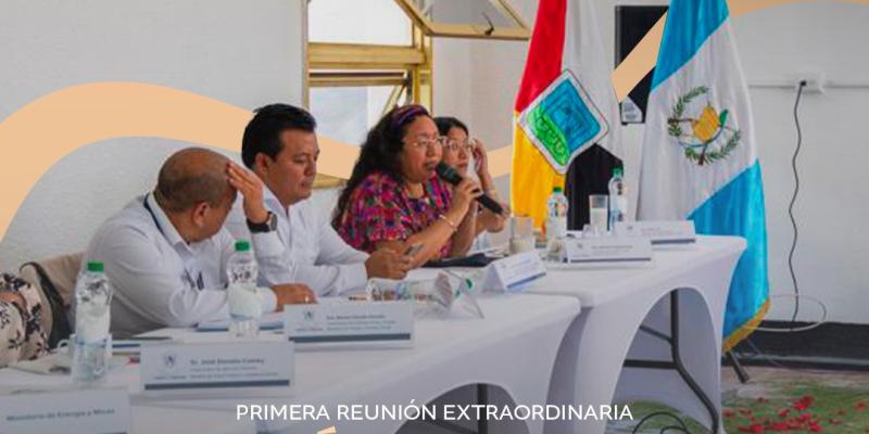 Primera Reunión Extraordinaria de la Comisión de Trabajo de Pueblos Indígenas del CONADUR