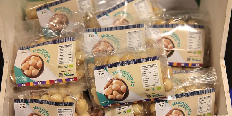 Guatemala proyecta crecimiento de la macadamia y consolida liderazgo regional