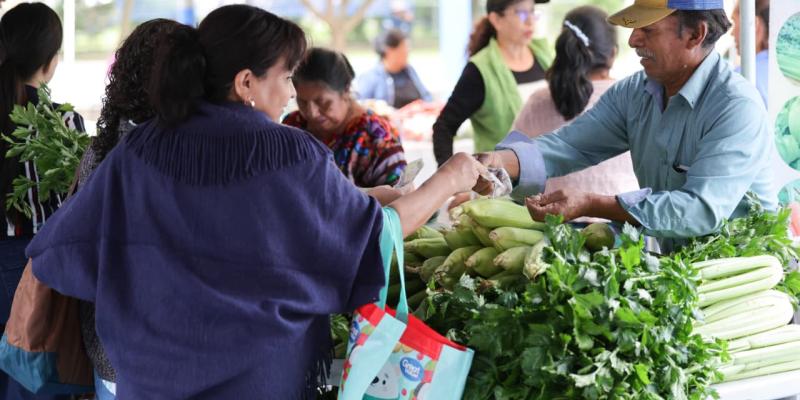 Productores acercan sus cosechas a las familias capitalinas en la Feria del Agricultor