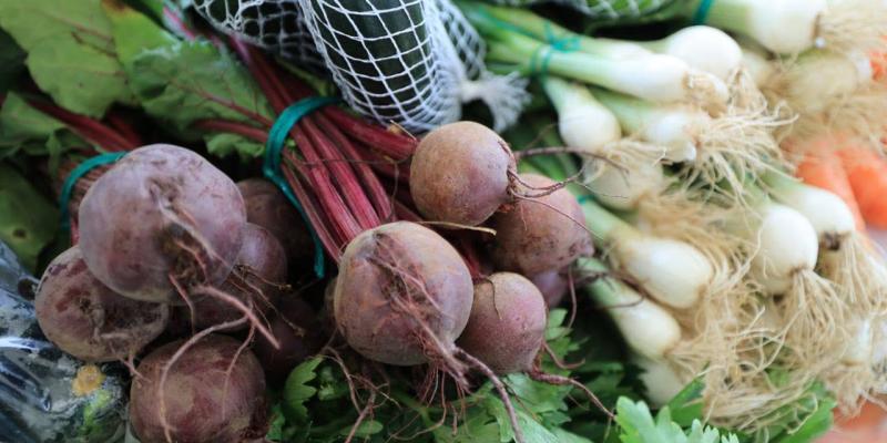 Próximas fechas de la Feria del Agricultor