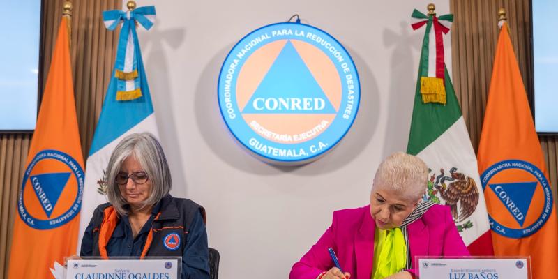 Cooperación Internacional
