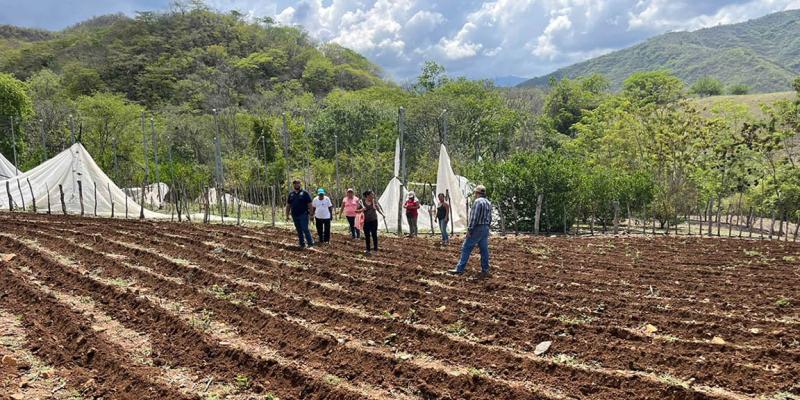 En Zacapa supervisan parcela demostrativa del Programa Suelos y Agua para el Futuro