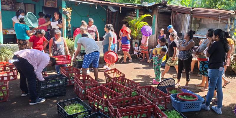 Entrega de pilones y capacitación impulsan los huertos familiares en Escuintla