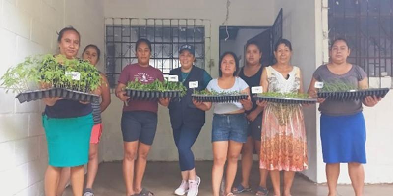 Fortalecen la agricultura familiar de Villa Canales el entregar pilones de hortalizas