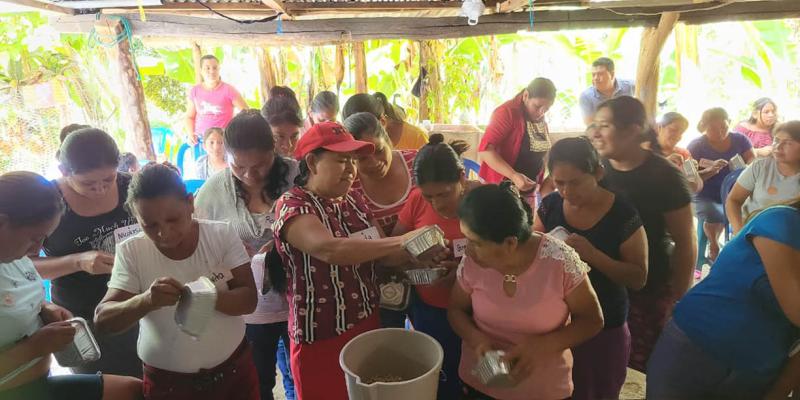 Mujeres aprenden a producir forraje hidropónico para sus aves de traspatio