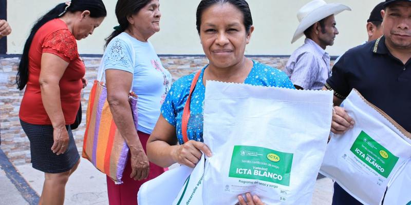Nueva variedad de sorgo, alternativa para la alimentación y mejora de producción de granos básicos