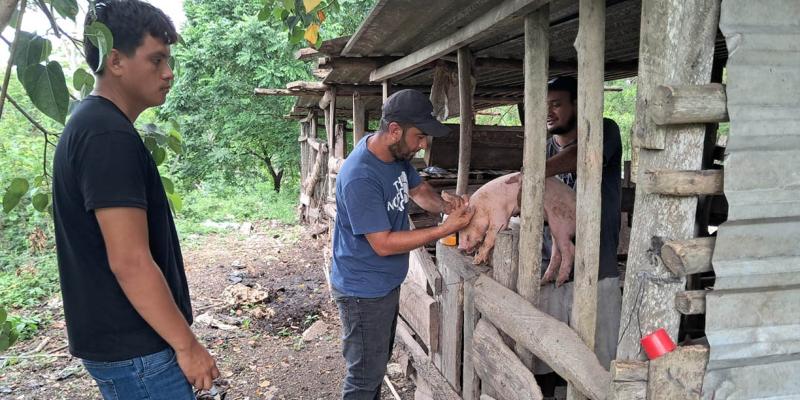 Productores de Santa Ana fortalecen la sanidad de sus granjas porcinas
