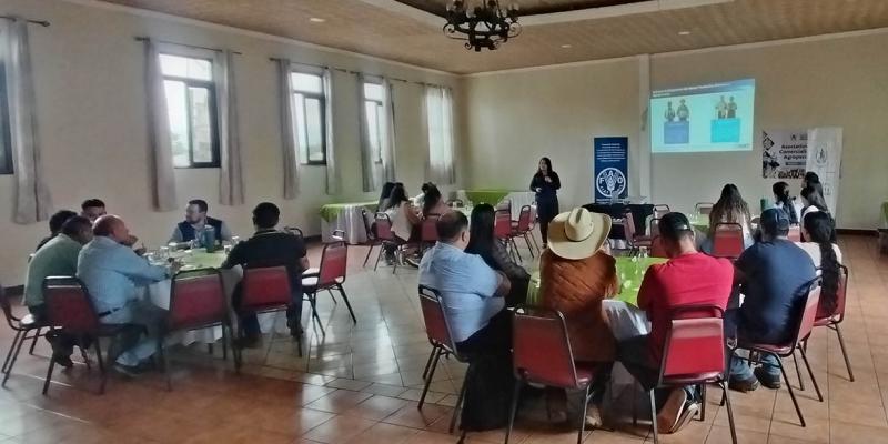 Promueven buenas prácticas normativas para abastecer el Programa de Alimentación Escolar
