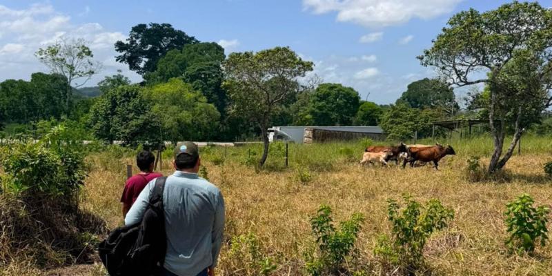 Se mantiene vigilancia agroclimática en 123 municipios debido al calor