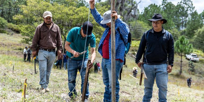 Técnicos aplican sistema Keyline en parcela de Huehuetenango