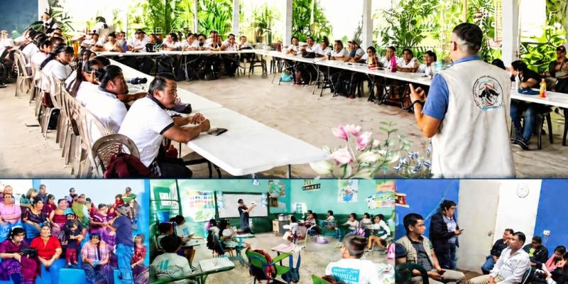 MAGAcciones | Prevención del Gusano Barrenador