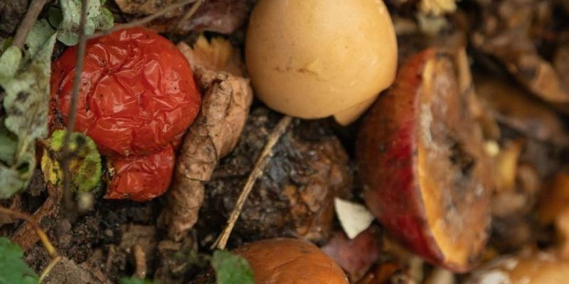 Día Internacional de Conciencia sobre la Pérdida y Desperdicio de Alimentos