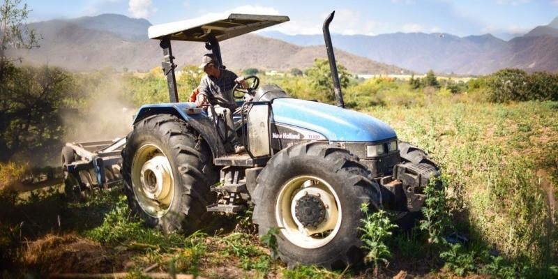21 de septiembre | Día Nacional del Agricultor y del Empresario Agrícola