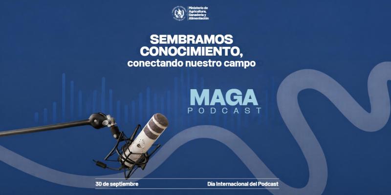 Hoy celebramos el poder de las voces que conectan