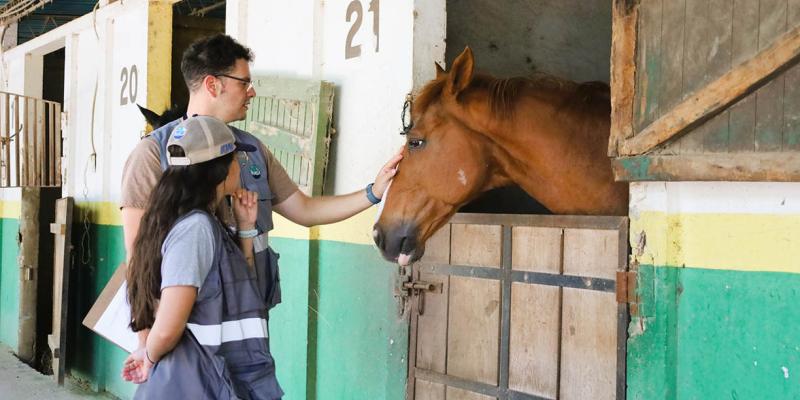 Detrás de cada animal de granja hay una vida que cuidar