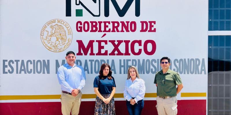nota de prensa